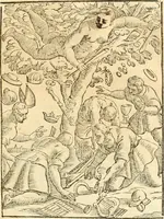 Picture 253 of 314 from Seconda nouissima editione delle Imagini de gli dei delli antichi di Vicenzo Cartari reggiano : ridotte da capo a piedi alle loro reali, & non più per l'adietro osseruate simiglianze : cauate da' marmi, bronzi, medaglie, gioie, & altre memorie antiche : con esquisito studio, & particolare diligenza (1626), leaf 562