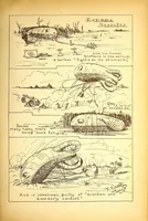 Picture 12 of 15 from The Second Army Air Service book (1919), leaf 131