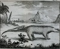 An illustration from Second voyage du père Tachard et des Jésuites envoyez par le roy au royaume de Siam : contenant diverses remarques d'histoire, de physique, de géographie, & d'astronomie (1689)