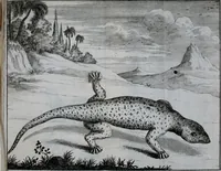 An illustration from Second voyage du père Tachard et des Jésuites envoyez par le roy au royaume de Siam : contenant diverses remarques d'histoire, de physique, de géographie, & d'astronomie (1689)