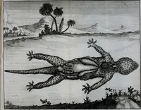 An illustration from Second voyage du père Tachard et des Jésuites envoyez par le roy au royaume de Siam : contenant diverses remarques d'histoire, de physique, de géographie, & d'astronomie (1689)