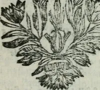 Picture 18 of 20 from Second voyage du père Tachard et des Jésuites envoyez par le roy au royaume de Siam : contenant diverses remarques d'histoire, de physique, de géographie, & d'astronomie (1689), leaf 300