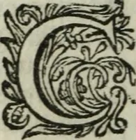 An illustration from Second voyage du père Tachard et des Jésuites envoyez par le roy au royaume de Siam : contenant diverses remarques d'histoire, de physique, de géographie, & d'astronomie (1689)