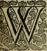 An illustration from The second wash, or, The moore scour'd once more : being a charitable cure for the distractions of Alazonomastix (1651)