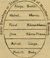 Picture 5 of 9 from The secret doctrine; the synthesis of science, religion and philosophy (1893), leaf 582
