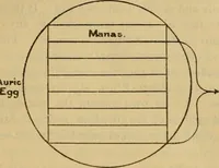 Picture 9 of 9 from The secret doctrine; the synthesis of science, religion and philosophy (1893), leaf 588