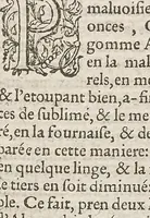 An illustration from Les secrets du S. Alexis Piemontois : divisez en six livres ; ausquels auons adjoint autres secrets de nouueau ... ; & les receptes de divers auteurs .. (1559)