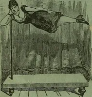 An illustration from The secrets of ancient and modern magic; (1880)