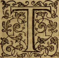 An illustration from The secrets of the reverend Maister Alexis of Piemont : containing excellent remedies against diverse diseases, wounds, and other accidents, with the maner to make distillations, parfumes, confitures, dying, colours, fusions, and meltings ... (1595)