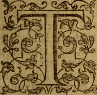 An illustration from The secrets of the reverend Maister Alexis of Piemont : containing excellent remedies against diverse diseases, wounds, and other accidents, with the maner to make distillations, parfumes, confitures, dying, colours, fusions, and meltings ... (1595)