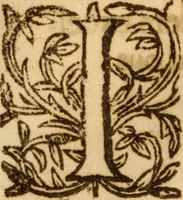 An illustration from The secrets of the reverend Maister Alexis of Piemont : containing excellent remedies against diverse diseases, wounds, and other accidents, with the maner to make distillations, parfumes, confitures, dying, colours, fusions, and meltings ... (1595)