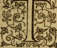 An illustration from The secrets of the reverend Maister Alexis of Piemont : containing excellent remedies against diverse diseases, wounds, and other accidents, with the maner to make distillations, parfumes, confitures, dying, colours, fusions, and meltings ... (1595)