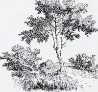 An illustration from Section française (class 84); dentelles, broderies, passementeries et dessins (1908)