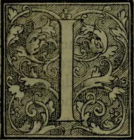 An illustration from Secundo volume delle navigationi et viaggi (1574)