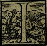 An illustration from Secundo volume delle navigationi et viaggi (1574)