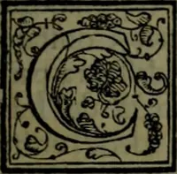 An illustration from Secundo volume delle navigationi et viaggi (1574)