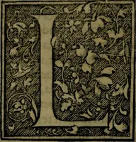 An illustration from Secundo volume delle navigationi et viaggi (1574)