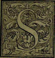 Picture 19 of 29 from Secundo volume delle navigationi et viaggi (1574), leaf 314