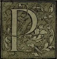 An illustration from Secundo volume delle navigationi et viaggi (1574)