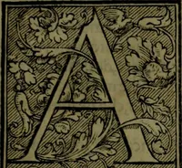 An illustration from Secundo volume delle navigationi et viaggi (1574)