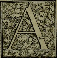 An illustration from Secundo volume delle navigationi et viaggi (1574)