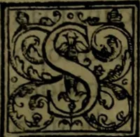 An illustration from Secundo volume delle navigationi et viaggi (1574)