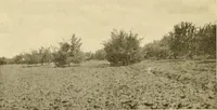 An illustration from Sedgwick County, Kansas; a church and community survey (1922)