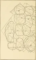 An illustration from Sedgwick County, Kansas; a church and community survey (1922)