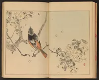 An illustration from Seitei kachō gafu (1890)