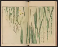 An illustration from Seitei kachō gafu (1890)