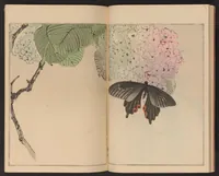 An illustration from Seitei kachō gafu (1890)