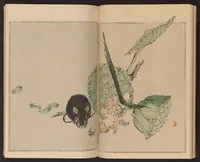 An illustration from Seitei kachō gafu (1890)