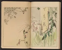 An illustration from Seitei kachō gafu (1890)