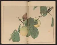 An illustration from Seitei kachō gafu (1890)