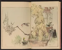 An illustration from Seitei kachō gafu (1890)