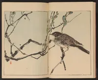 An illustration from Seitei kachō gafu (1890)