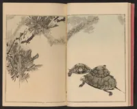 An illustration from Seitei kachō gafu (1890)