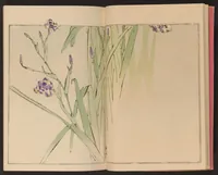 An illustration from Seitei kachō gafu (1890)