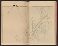 An illustration from Seitei kachō gafu (1890)