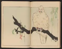 An illustration from Seitei kachō gafu (1890)