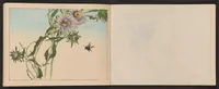 An illustration from Seitei kachōjō (1889)