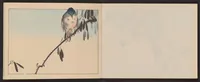 Picture 5 of 9 from Seitei kachōjō (1889), leaf 6
