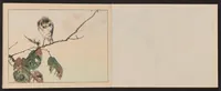 Picture 6 of 9 from Seitei kachōjō (1889), leaf 7