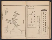 An illustration from Seizan goryū ikebana senbei zushiki : shohen (1857)