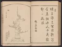 An illustration from Seizan goryū ikebana senbei zushiki : shohen (1857)