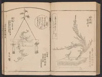 An illustration from Seizan goryū ikebana senbei zushiki : shohen (1857)