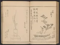 An illustration from Seizan goryū ikebana senbei zushiki : shohen (1857)