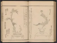 An illustration from Seizan goryū ikebana senbei zushiki : shohen (1857)