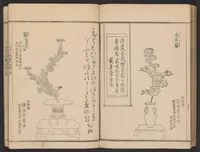 An illustration from Seizan goryū ikebana senbei zushiki : shohen (1857)