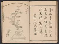 An illustration from Seizan goryū ikebana senbei zushiki : shohen (1857)
